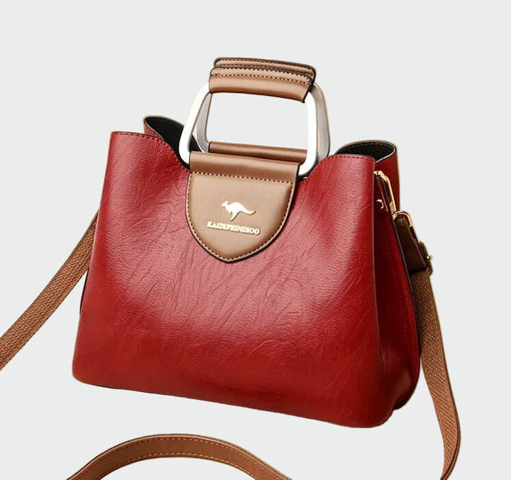 Bolsa de couro atemporal